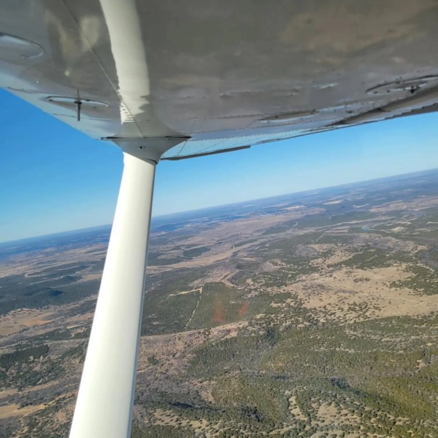 GoFlyTexas Instagram post 3